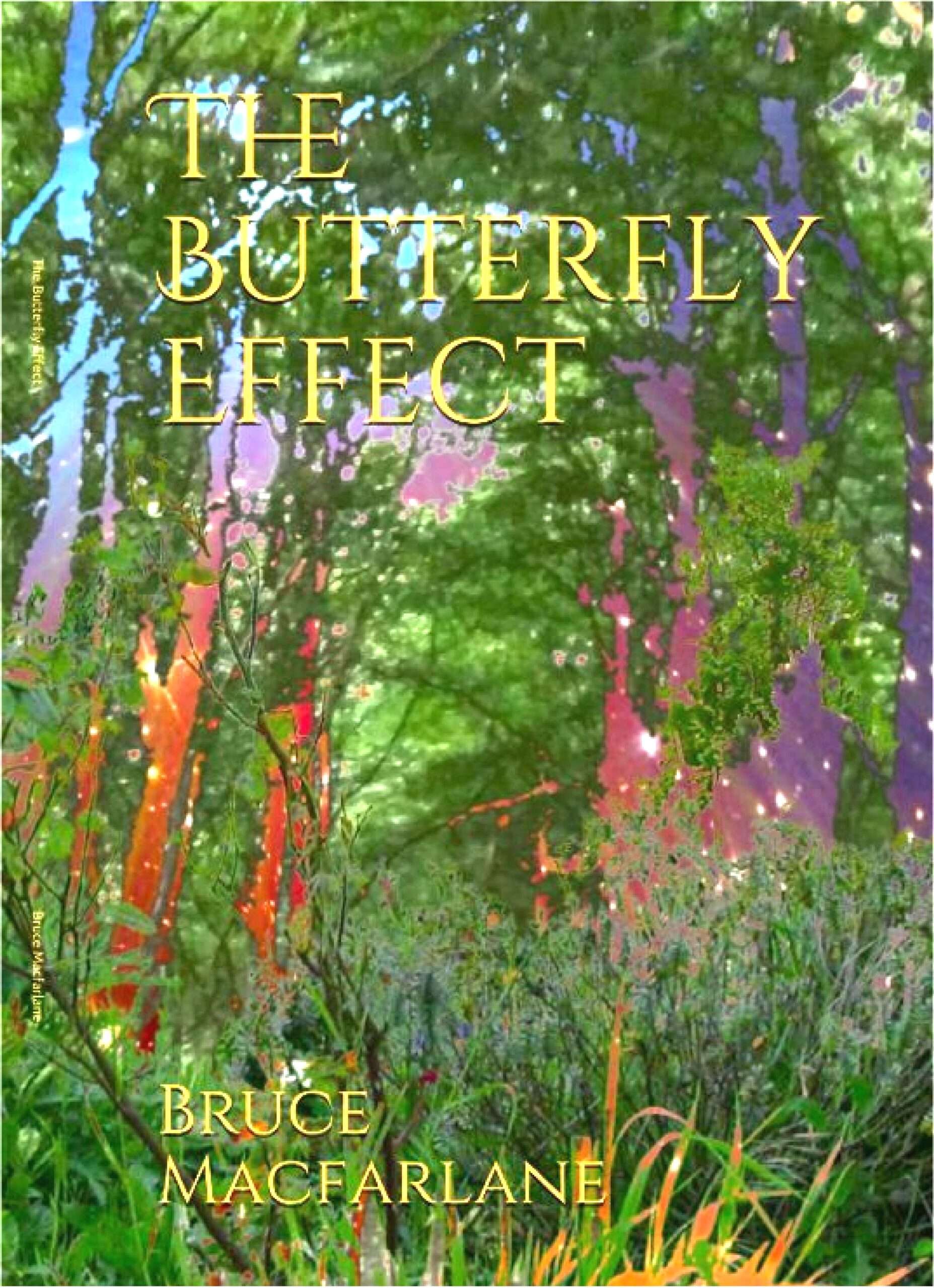 The Butterfly Effect The Time Travel Diaries